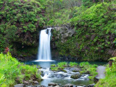 Puaakaa_Waterfalls_Shutterstock_1112983856
