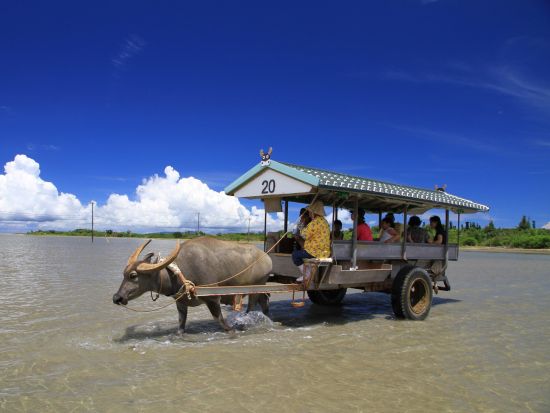 【高速船フリーパス券】アイランドホッピングパス（燃料サーチャージ別途）定期船乗り放題チケット 3・4・5日から選択 ＜乗船回数制限なし＞ by安栄観光