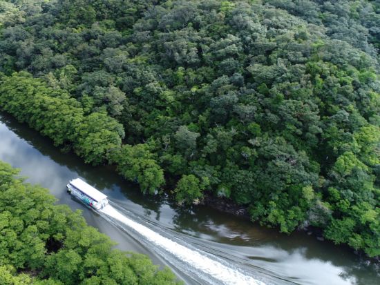 西表・由布・竹富3島めぐり 1日で人気の島々をのんびり巡ろう！ファミリーやカップルにもオススメ◎＜対象ホテル送迎可／約9時間／昼食付＞