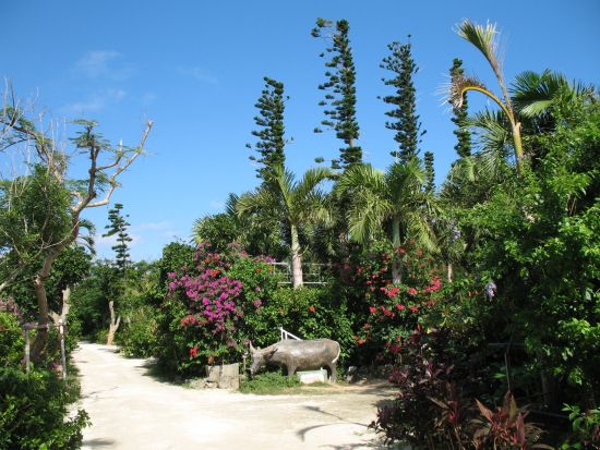 西表仲間川・由布2島周遊コース 午後出発でゆっくり参加OK◎大人気の2島をのんびり巡ろう＜対象ホテル送迎可／約4時間30分＞