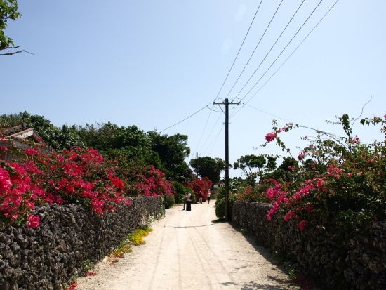 竹富島水牛車観光コース 沖縄の昔ながらの風景をゆったり観光 水牛車に乗って素敵な島時間を＜対象ホテル送迎可／石垣島発＞
