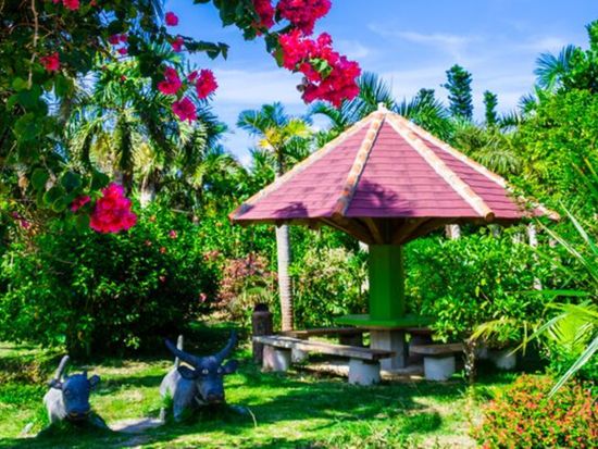 【高速船フリーパス券】アイランドホッピングパス（燃料サーチャージ別途）定期船乗り放題チケット 3・4・5日から選択 ＜乗船回数制限なし＞ by安栄観光