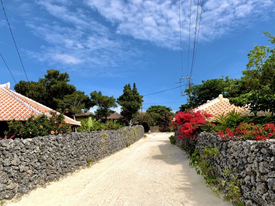 竹富島フリー散策コース 往復高速船＋島内バスチケット付 気軽に離島を楽しもう！のんびり自由に竹富島を散策＜対象ホテル送迎可／石垣島発＞