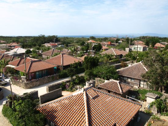 竹富島水牛車観光コース 沖縄の昔ながらの風景をゆったり観光 水牛車に乗って素敵な島時間を＜対象ホテル送迎可／石垣島発＞
