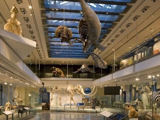 ロサンゼルス郡立自然史博物館 チケット予約・前売り券 by Tiqets