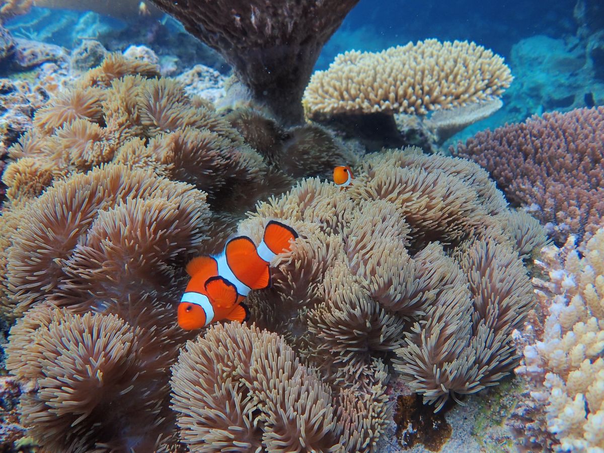 20240614032824_1726624459_1439