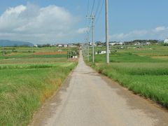 小浜島シュガーロード