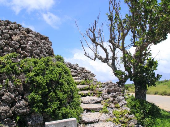 波照間島サイクリング 魅力がぎゅっと詰まった島で爽やかサイクリング！ここでしかできない特別な体験を＜対象ホテル送迎可／石垣島発＞