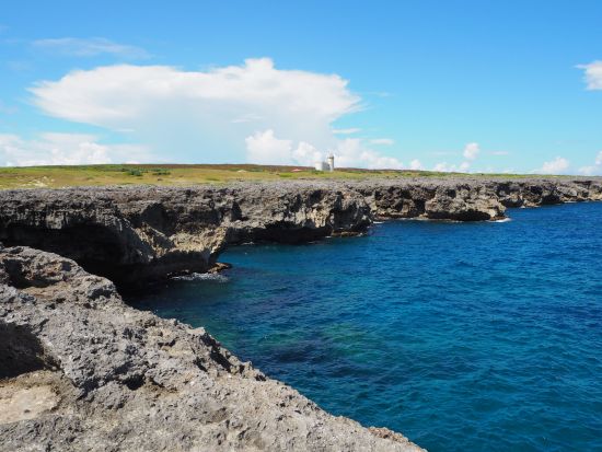 波照間島バス観光 日本最南端の有人島で日帰り観光！車窓から大自然とハテルマブルーを堪能しよう＜対象ホテル送迎可／昼食付／石垣島発＞