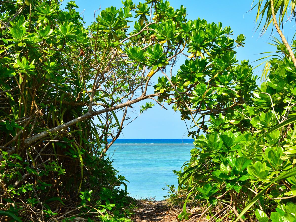 小浜島 サイクリングなど浜島｜現地オプショナルツアー予約