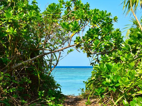波照間島サイクリング 魅力がぎゅっと詰まった島で爽やかサイクリング！ここでしかできない特別な体験を＜対象ホテル送迎可／石垣島発＞