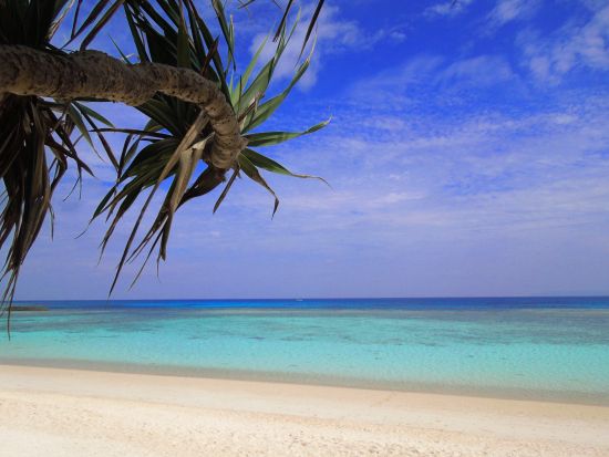 波照間島サイクリング 魅力がぎゅっと詰まった島で爽やかサイクリング！ここでしかできない特別な体験を＜対象ホテル送迎可／石垣島発＞