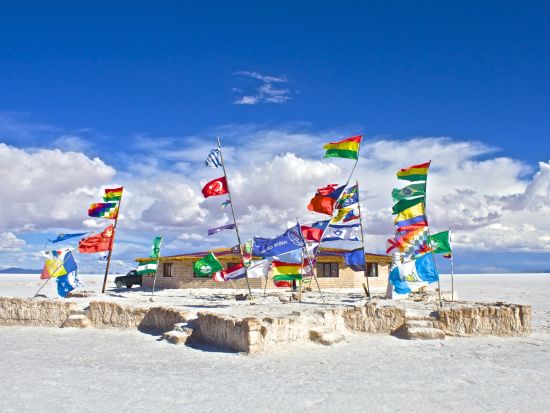 4泊5日ペルー＆ボリビア周遊ツアー　マチュピチュ遺跡＋クスコ＋ラパス＋ウユニ塩湖の主要観光地を巡る5日間！＜貸切／日本語＆英語ガイド／クスコ発、リマ着＞ 