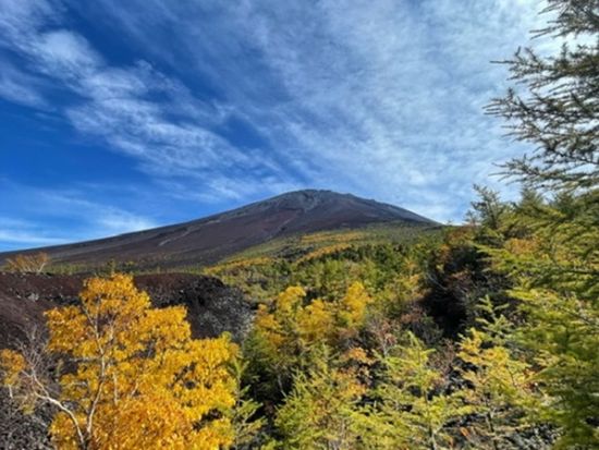富士山トレッキングツアー　富士山の中腹を巡る御中道コース（奥庭～御庭～滑）＜小学生から参加可／5～6月・9月～10月／昼食付き／送迎付き／富士河口湖町＞