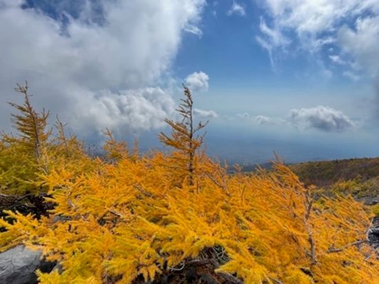 秋シーズンの参加は特におすすめ