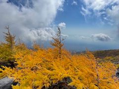 秋シーズンの参加は特におすすめ