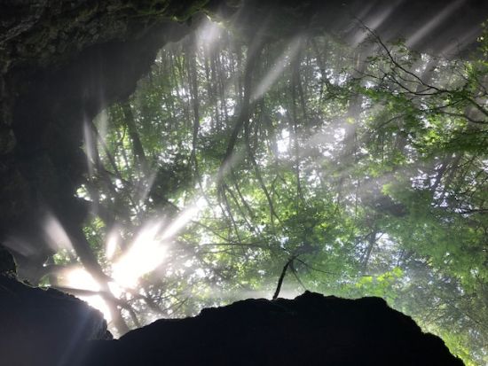 青木ヶ原樹海1日トレッキングツアー 樹海散策と一般公開されていない洞窟「富士風穴」を探検！樹海原生林の中でのランチ付き＜富士五湖・河口湖駅送迎付／富士河口湖町＞