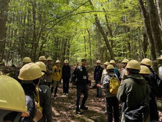 青木ヶ原樹海1日トレッキングツアー 樹海散策と一般公開されていない洞窟「富士風穴」を探検！樹海原生林の中でのランチ付き＜富士五湖・河口湖駅送迎付／富士河口湖町＞