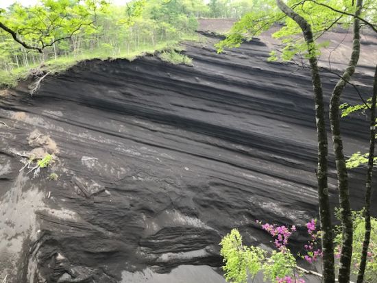 エコツアー 日本版グランドキャニオンと小富士火山コース　6歳～参加OK＜5～6月、9～10月／富士河口湖町＞by冨士エコツアーサービス