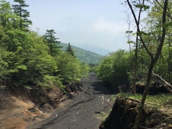 エコツアー 日本版グランドキャニオンと小富士火山コース　6歳～参加OK＜5～6月、9～10月／富士河口湖町＞by冨士エコツアーサービス