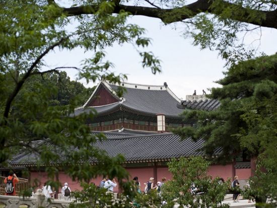 韓国の世界文化遺産観光ツアー 昌徳宮＋宗廟＋水原華城＜半日or1日／日本語ガイド／昼食付きプラン・明洞餃子ミールクーポン付きプランあり＞