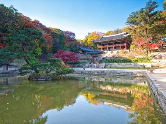 韓国の世界文化遺産観光ツアー 昌徳宮＋宗廟＋水原華城＜半日or1日／日本語ガイド／昼食付きプラン・明洞餃子ミールクーポン付きプランあり＞