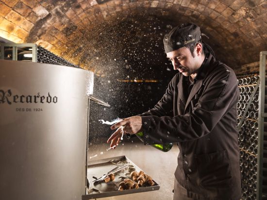 希少カヴァ「コルピナット」ワイナリーツアー　製造工程見学＋ワイン4種試飲＋地元レストラン昼食＜貸切／6時間／昼食付／英語または日本語／バルセロナ発＞