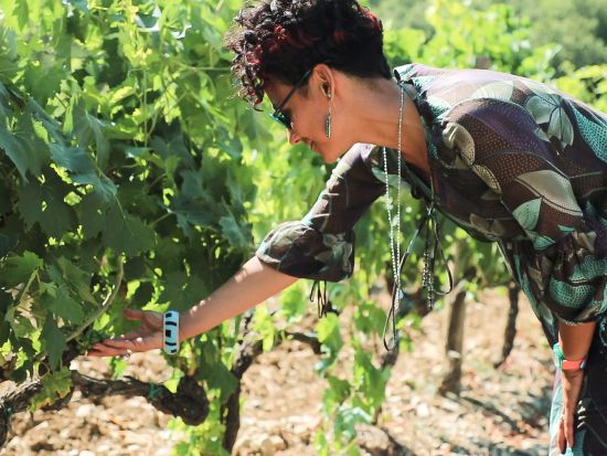 トスカーナ州　キャンティ・クラシコワイナリー巡りツアー＜半日／試飲付／英語ガイド／フィレンツェ発着＞