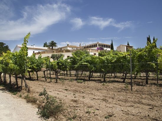 邸宅ワイナリーを訪れる特別なワインツアー　ブドウ畑＆洞窟ワインセラー見学＋ワイン試飲＆地元食材の昼食＜貸切／6時間／昼食付／英語または日本語／バルセロナ発＞