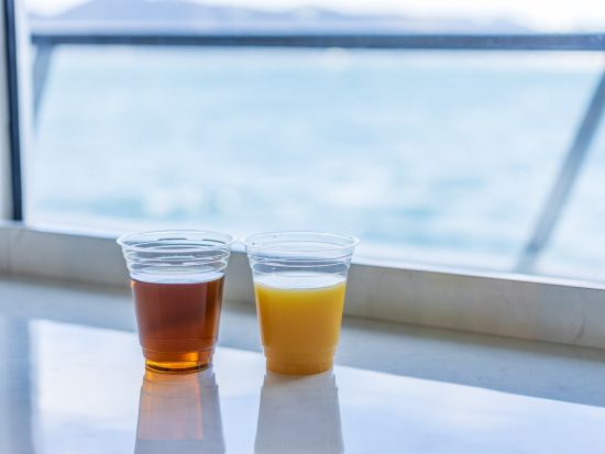 THE KOBE CRUISE コンチェルト ランチクルーズ｜ワンドリンクプラン 事前予約＜神戸市＞