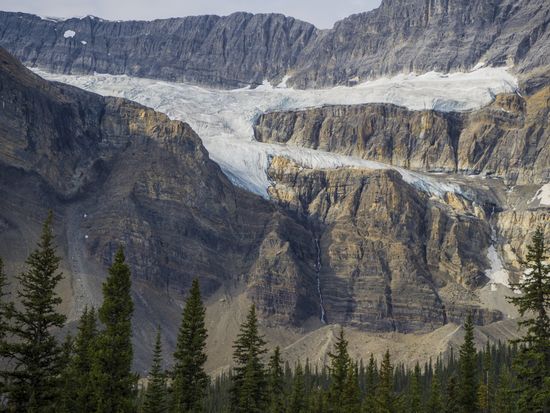 Crowfoot Glacier