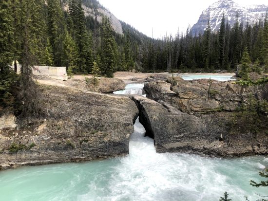 世界遺産カナディアンロッキー　レイク・ルイーズ＆モレーン湖＆ヨーホー国立公園観光＜5～10月／日本語音声ガイド／英語ドライバー／バンフ発＞