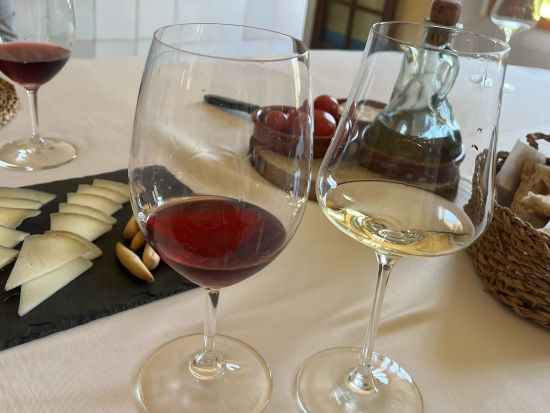 邸宅ワイナリーを訪れる特別なワインツアー　ブドウ畑＆洞窟ワインセラー見学＋ワイン試飲＆地元食材の昼食＜貸切／6時間／昼食付／英語または日本語／バルセロナ発＞