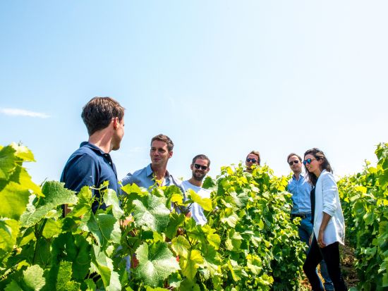 シャンパーニュ地方　ヴーヴ・クリコ（VEUVE CLICQUOT）＋家族経営セラー見学ツアー　＜試飲付／昼食付／ランス発＞