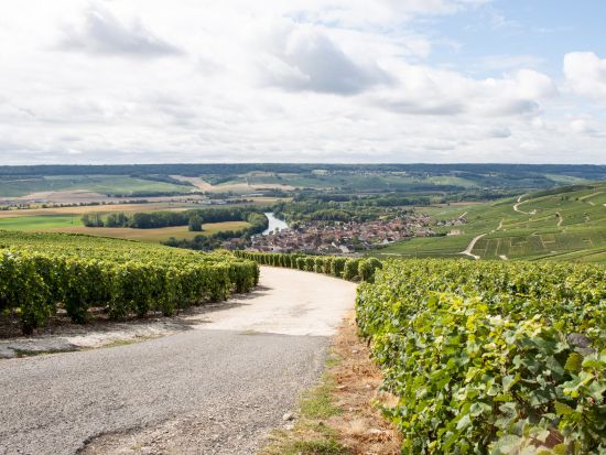 シャンパーニュ地方 小規模ワイナリー見学 試飲＆伝統料理のランチ付き＜ランス発またはエペルネー発／英語ガイド＞