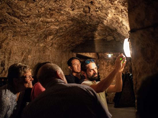 シャンパーニュ地方 小規模ワイナリー見学 試飲＆伝統料理のランチ付き＜ランス発またはエペルネー発／英語ガイド＞