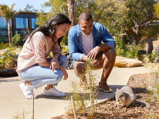 タロンガ動物園　ワイルドライフリトリート（Wildlife Retreat at Taronga）宿泊　入場券＋特別ガイド付きツアー込み＜食事付き／毎日催行＞