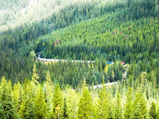 世界遺産カナディアンロッキー　レイク・ルイーズ＆モレーン湖＆ヨーホー国立公園観光＜5～10月／日本語音声ガイド／英語ドライバー／バンフ発＞