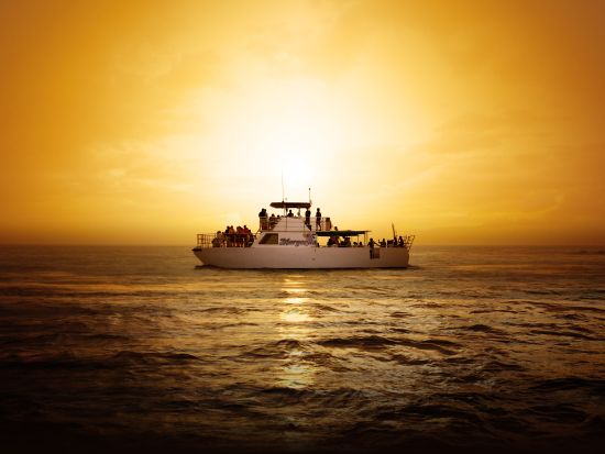 BIGサンセットディナークルーズ ＜食べ放題／飲み放題／無料送迎付き／月・木曜日催行＞