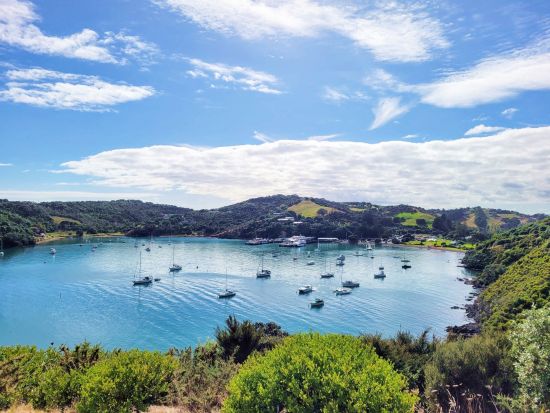 ワイヘキ島でワイナリーと観光巡り！マッドブリック・ワイナリーなどを巡る訪問ツアー ＜1軒試飲付／日本語ガイド／ワイヘキ島発着＞