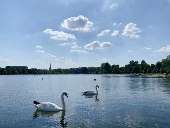 ロイヤル・アフタヌーンティーツアー ケンジントン・ガーデンズ散策＋オランジェリーでティータイムの写真5