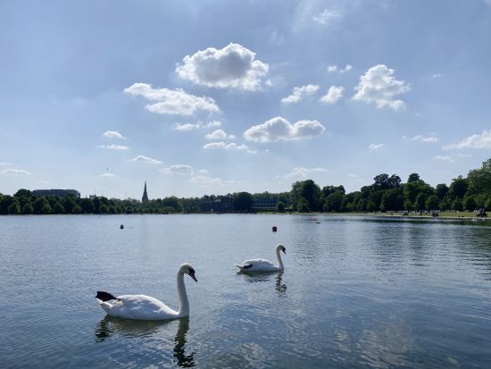 ロイヤル・アフタヌーンティーツアー ケンジントン・ガーデンズ散策＋オランジェリーでティータイム