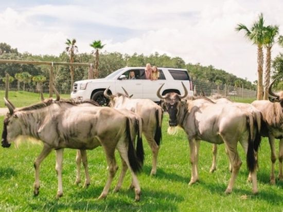 ワイルドフロリダ  チケット予約・前売り券 by Tiqets