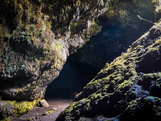 Shutterstock_1271722519