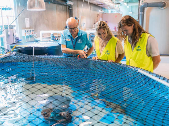 ケアンズ水族館 バックステージガイドツアー　餌やりなど海洋生物とのふれあいを楽しめる！ウミガメ病院＆サンゴ保護ツアー付き＜4名まで／英語ガイド＞