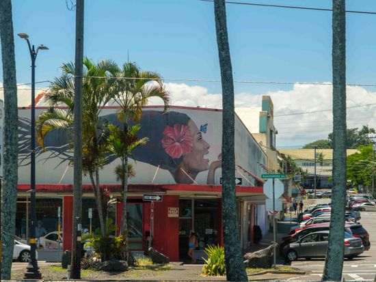 Big Island Hilo Town