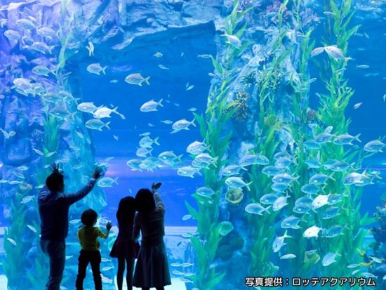 ロッテワールドアドベンチャー1日フリーパスチケット＋アクアリウム入場チケット＜往路片道送迎付き＞
