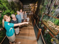 ABT - looking at keelback snake tank