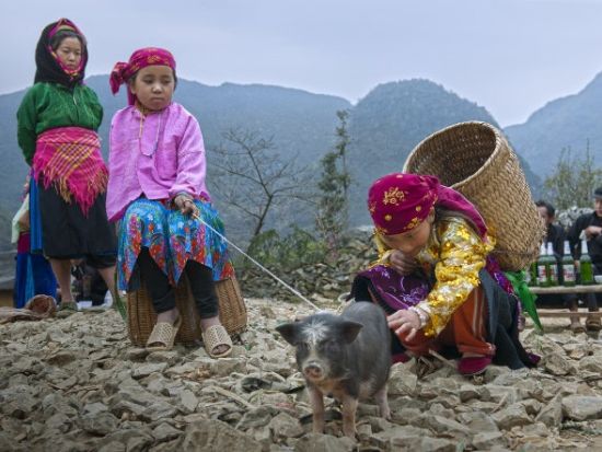 ベトナム最北端の秘境ハザン3泊4日ツアー　絶景と山岳民族に出会う旅＜ハノイ発／食事付き／日本語or英語ガイド＞ 