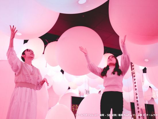 チームラボフォレスト福岡 入館チケット 日時指定事前予約 ＜福岡市＞